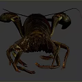 Realistic 3D Modeled Lobster In Standing Pose With Detailed Claws And Textured Shell