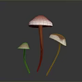Three Mushroom Plants With Pink Caps White Edges And Brown Stems On Dark Background