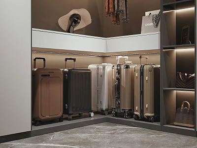 Organized Closet With Multiple Suitcases In Various Colors And Storage Solutions 3d model