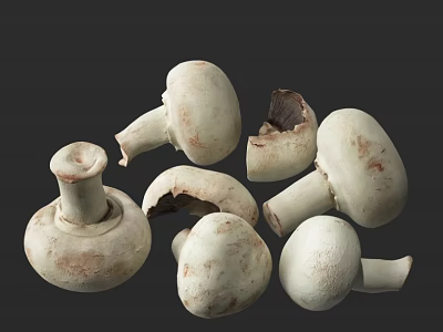 Fresh White Mushrooms Whole and Sliced Arranged on Dark Background 3d model