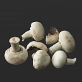 Fresh White Mushrooms Whole and Sliced Arranged on Dark Background