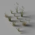 3D Models of Various Grass Plants with Different Heights and Shapes on Gray Background