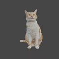 Playful Orange and White Cat Sitting with Tongue Out as Game and Movie Character