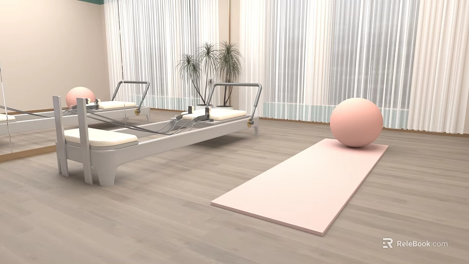 Indoor Fitness Studio With Pilates Reformer Pink Exercise Ball Yoga Mat And Plants 3d model 