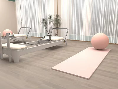 Indoor Fitness Studio With Pilates Reformer Pink Exercise Ball Yoga Mat And Plants 3d model