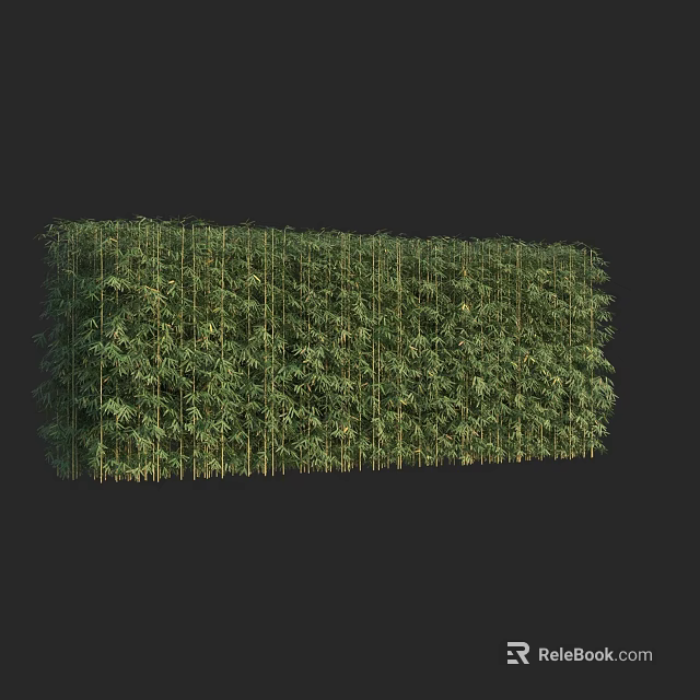 Dense Bamboo Plants Form Natural Privacy Screen With Lush Green Leaves 3d model 