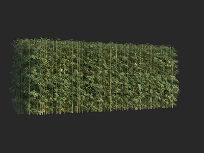 Dense Bamboo Plants Form Natural Privacy Screen With Lush Green Leaves 3d model