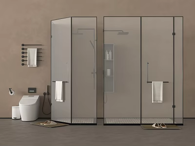 Modern Shower Fixture in Glass Enclosed Bathroom with Storage Shelf and Towel Rack 3d model