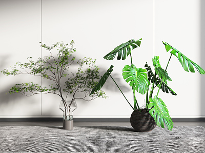 modern plants 3d model