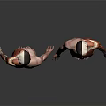 3D Rendered Male Torso Models Showing Head Organs Muscle Anatomy Front Back
