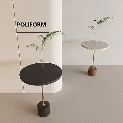 Modern Round Side Tables in Black and Light Wood with Gold Accent and Green Plants 3d model