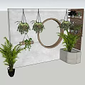 Bonsai Potted Plants Hanging On Wall With Round Mirror And Greenery Decor