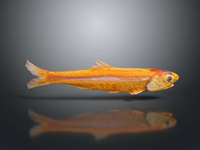 Fish Anchovy Striped Fish Sea Life Sea Fish Animal Game Animal 3d model