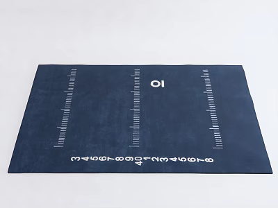 Dark Blue Square Rug With White Scale Lines And Geometric Markings 3d model