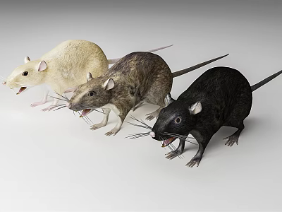 The Modern Mouse 3d model