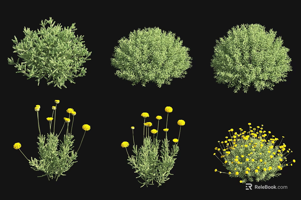 Various Green Shrubs Featuring Yellow Flowers and Dense Foliage Types 3d model 