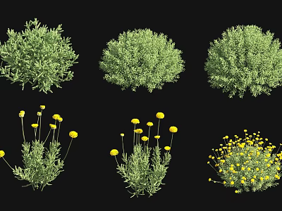 Various Green Shrubs Featuring Yellow Flowers and Dense Foliage Types 3d model