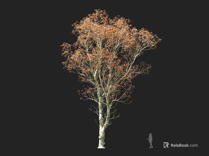 Autumn Arbor With Orange Leaves White Trunk And Human Figure For Scale 3d model 