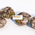 Natural Stone and Wood Decorative Items with Mossy Surfaces and Earthy Appeal