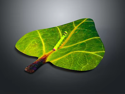 Decorative Ornament Set with Green Leaf Yellow Veins Colorful Petiole and Small Insect 3d model