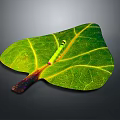 Decorative Ornament Set with Green Leaf Yellow Veins Colorful Petiole and Small Insect