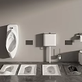 Modern Bathroom Fixtures With Urinal Toilet Paper Dispenser Squat Pans And Waste Bin