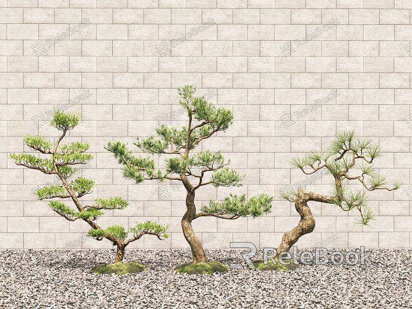 Chinese Landscape Tree Pine Tree Landscape Tree Welcome Pine Pohan Pine Courtyard Landscape Landscape Pebbles model