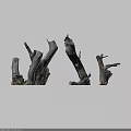 Natural Garden Ornaments Featuring Driftwood And Tree Stumps For Rustic Design