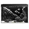 Aquarium Fish Tank Interior Featuring Natural Rock Decor And Swimming Fish