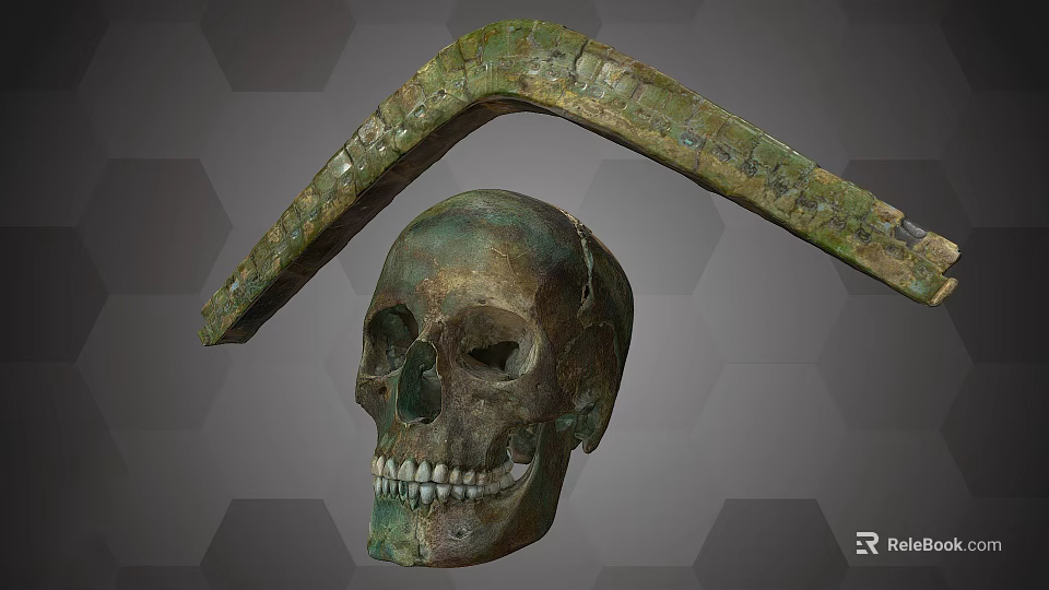 Medical Instrument with Curved Green Surface Bronze Skull Model and Inscriptions 3d model 