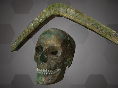 Medical Instrument with Curved Green Surface Bronze Skull Model and Inscriptions 3d model