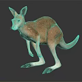 Realistic Standing Kangaroo Model With Light Brown Fur On Plain Background 3d model