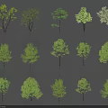 Various Arbor Trees With Green Foliage And Human Figure Scale 3d model