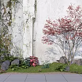 Charming Garden Ornament with Red Maple Ferns Rocks Green Grass by Weathered Wall