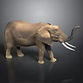 Realistic Elephant Model With Large Tusks Big Ears And Raised Trunk