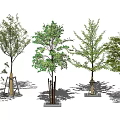 Various Tree Pit Designs With Green Leaf Trees And Urban Landscape Elements 3d model