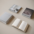 Books Books 3d model