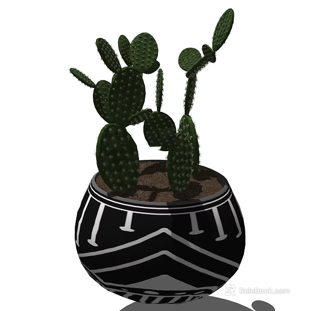 Green Cactus Bonsai Potted Plant In Black And White Geometric Pattern Pot 3d model 