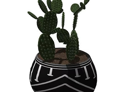 Green Cactus Bonsai Potted Plant In Black And White Geometric Pattern Pot 3d model