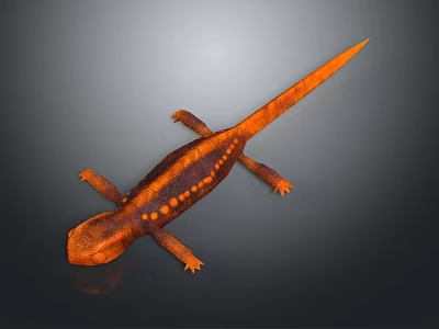 Orange and Brown Salamander with Spots and Long Tail on Dark Background 3d model