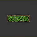 Green Leafy Plants In Modern Brown Planter With Blue Glowing Base
