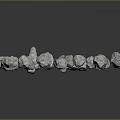 Wood and Stone Decorative White Small Stones Scattered on Black Reflective Background