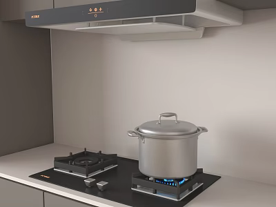Modern Kitchen Appliances Featuring Gas Stove Cooking Pot and Range Hood 3d model