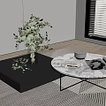 Modern Living Room Coffee Tables Black Square And Marble Round Featuring Green Plant Magazines Tray