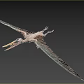 Prehistoric Flying Animal With Large Wings And Long Yellow Beak In Flight