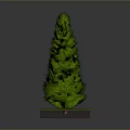 Conical Green Plant With Round Base And Grass Like Decoration On Gray Background