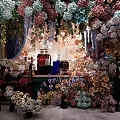 Stunning Floral Display with Various Colorful Flowers and Indoor Decorative Setup