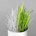 White Hanging Planters With Lush Green Grass For Modern Interior Decoration