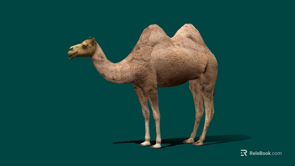 Brown Two Hump Camel Isolated on Green Background in Realistic Render 3d model 
