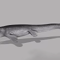 Prehistoric Mosasaurus Marine Reptile With Open Mouth And Sharp Teeth